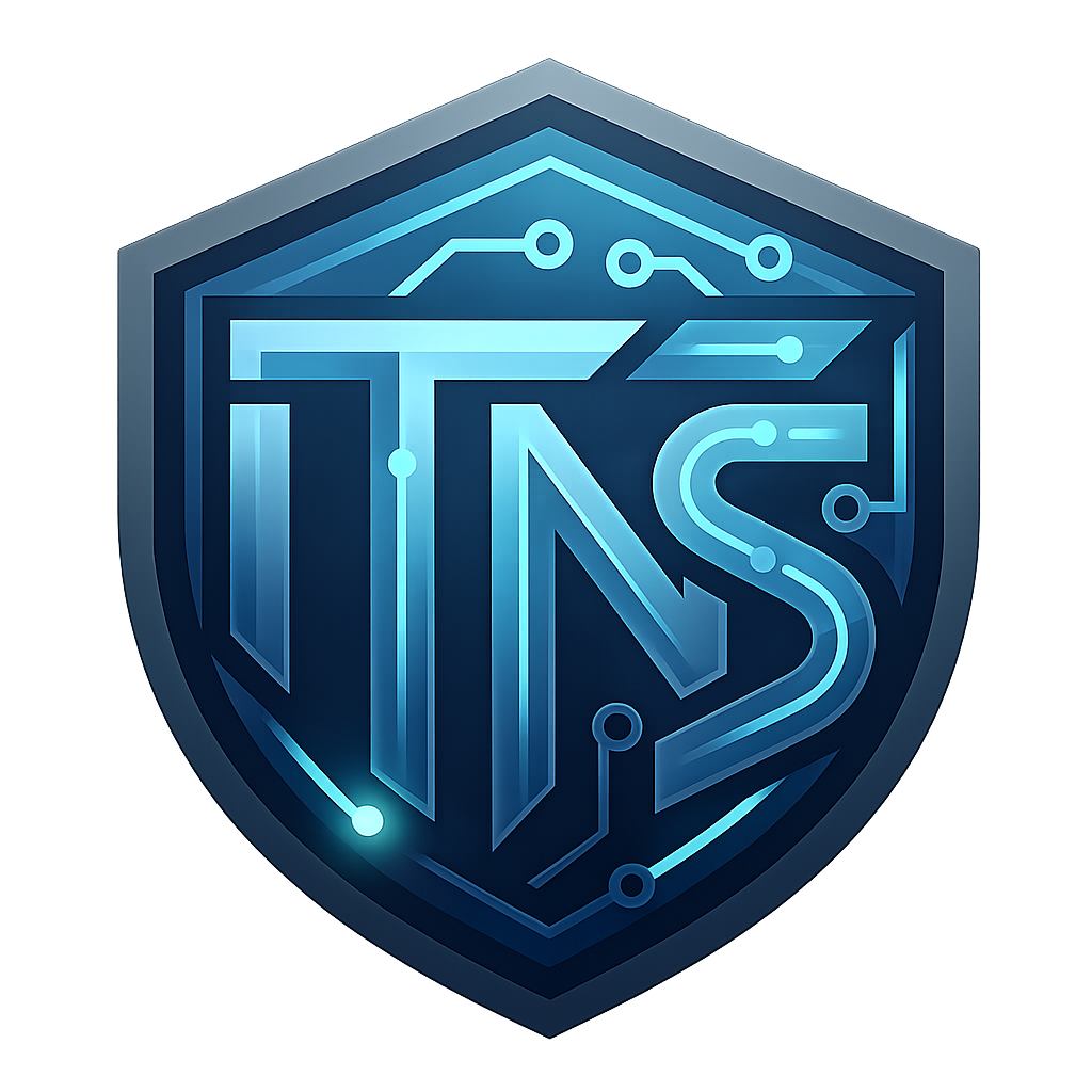 IT N Solution Logo