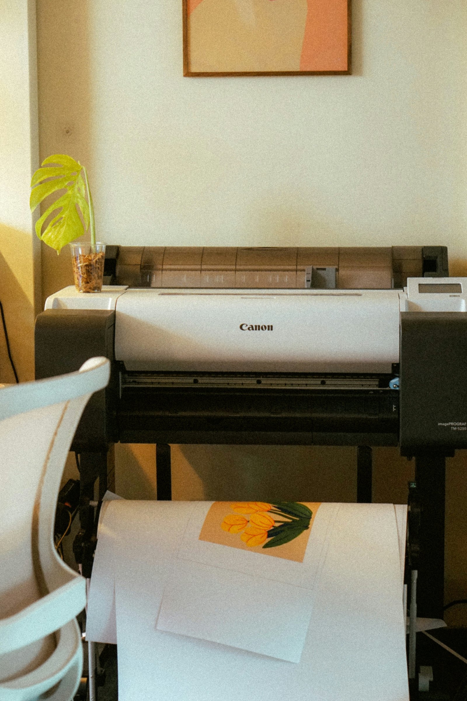 Canon Multifunction Printer